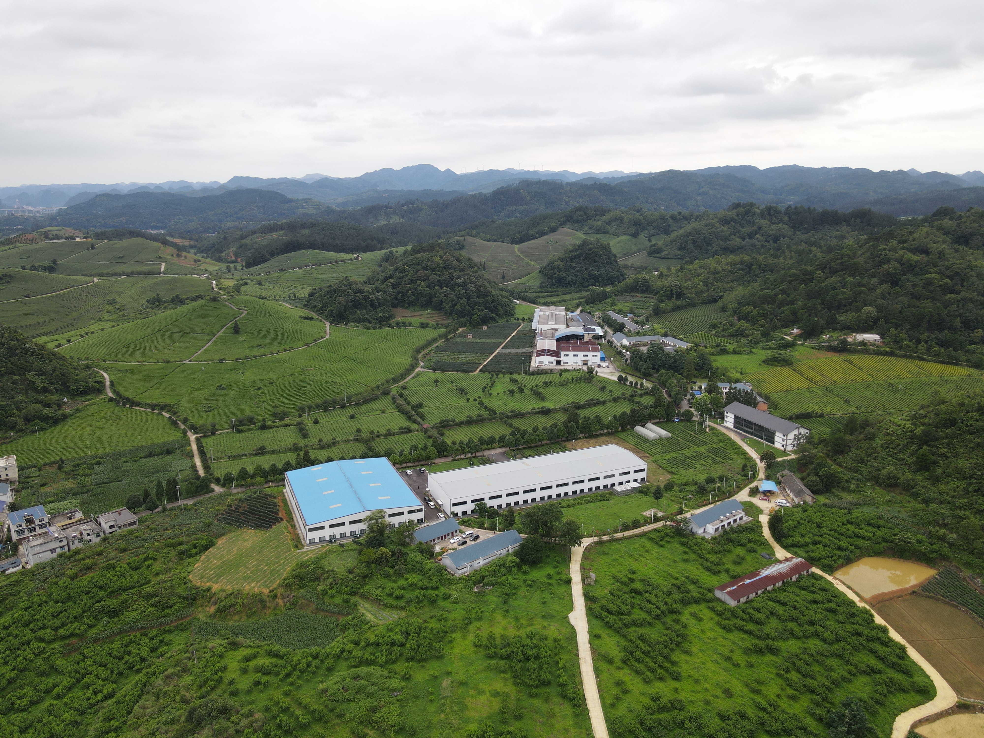 17659662012922.jpg 微信图片_20251215112412_26_1858.jpg