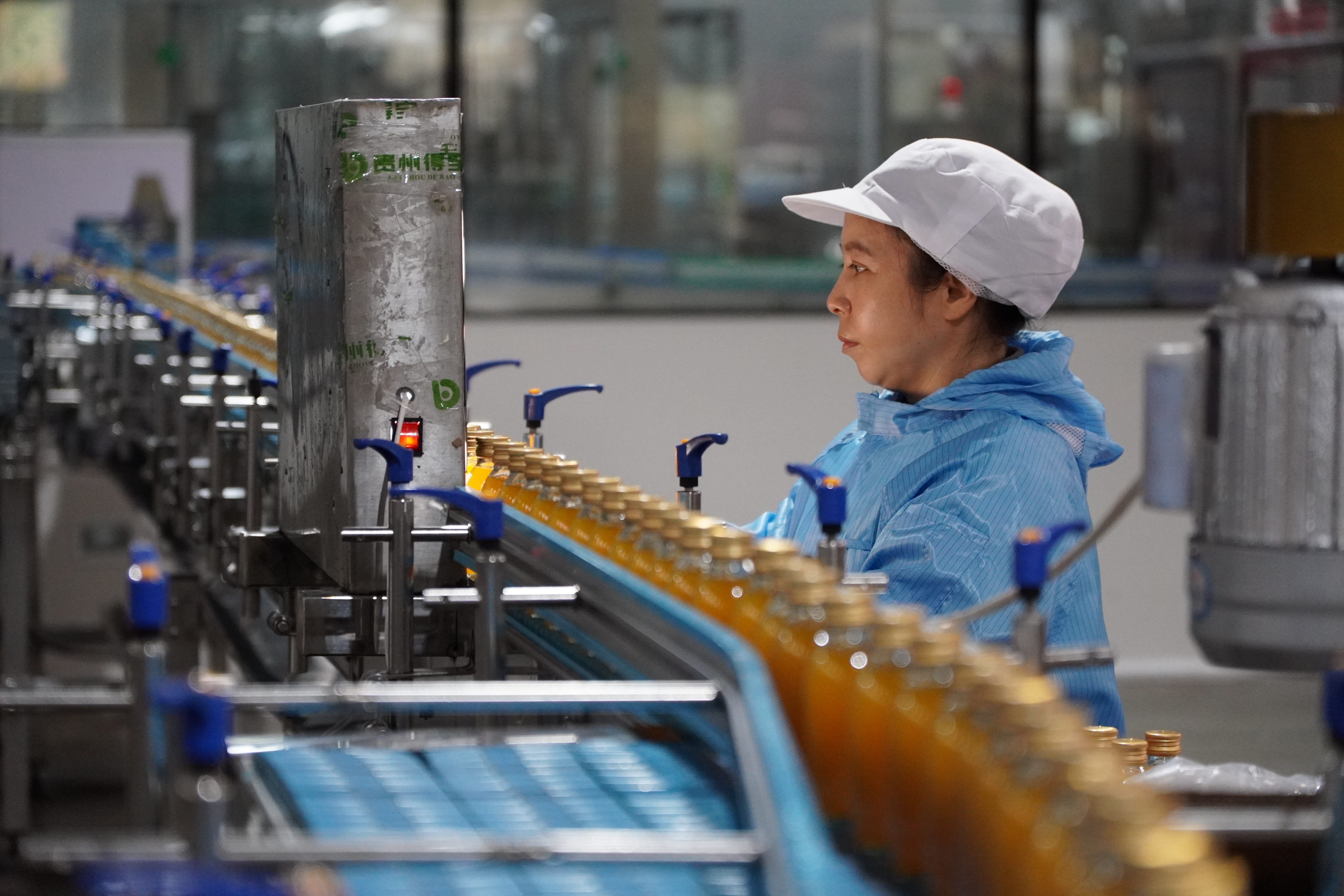 贵州得宝农业科技有限公司忙碌的生产线 杨曦 摄 1.JPG