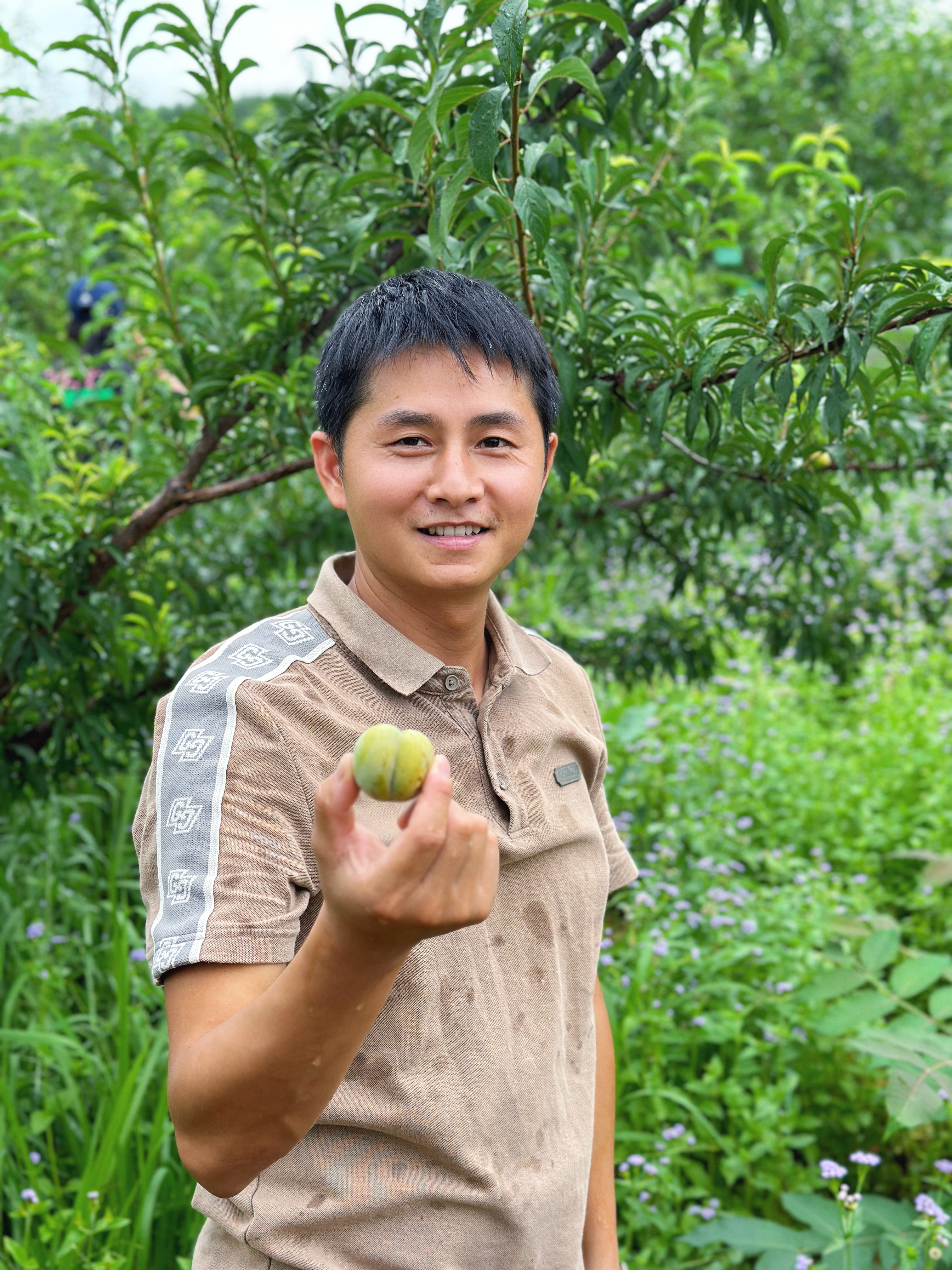 公司负责人杨泽顺在基地上采摘蜂糖李  图片 由受访者提供.jpg
