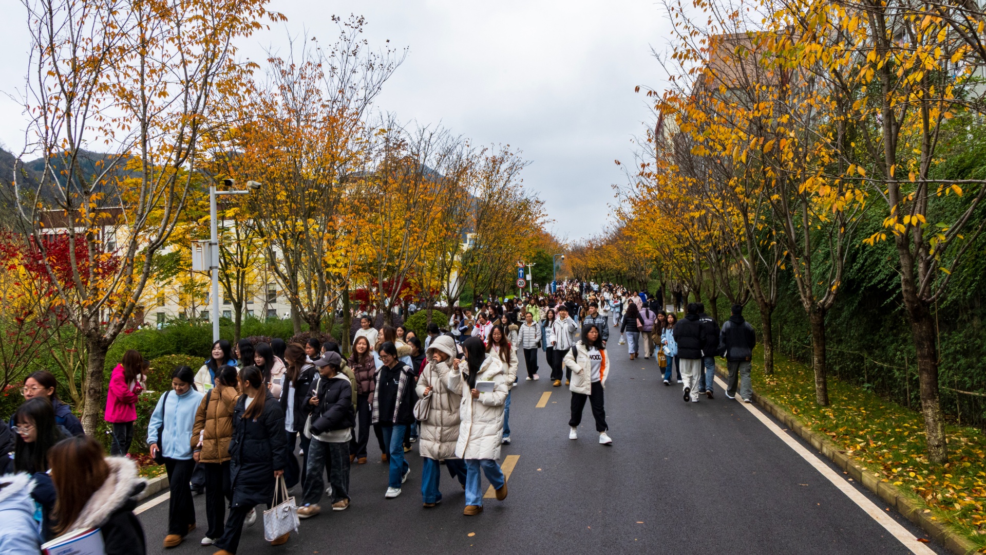 ����ˮ��ר��Ƭ--���� (1).jpg