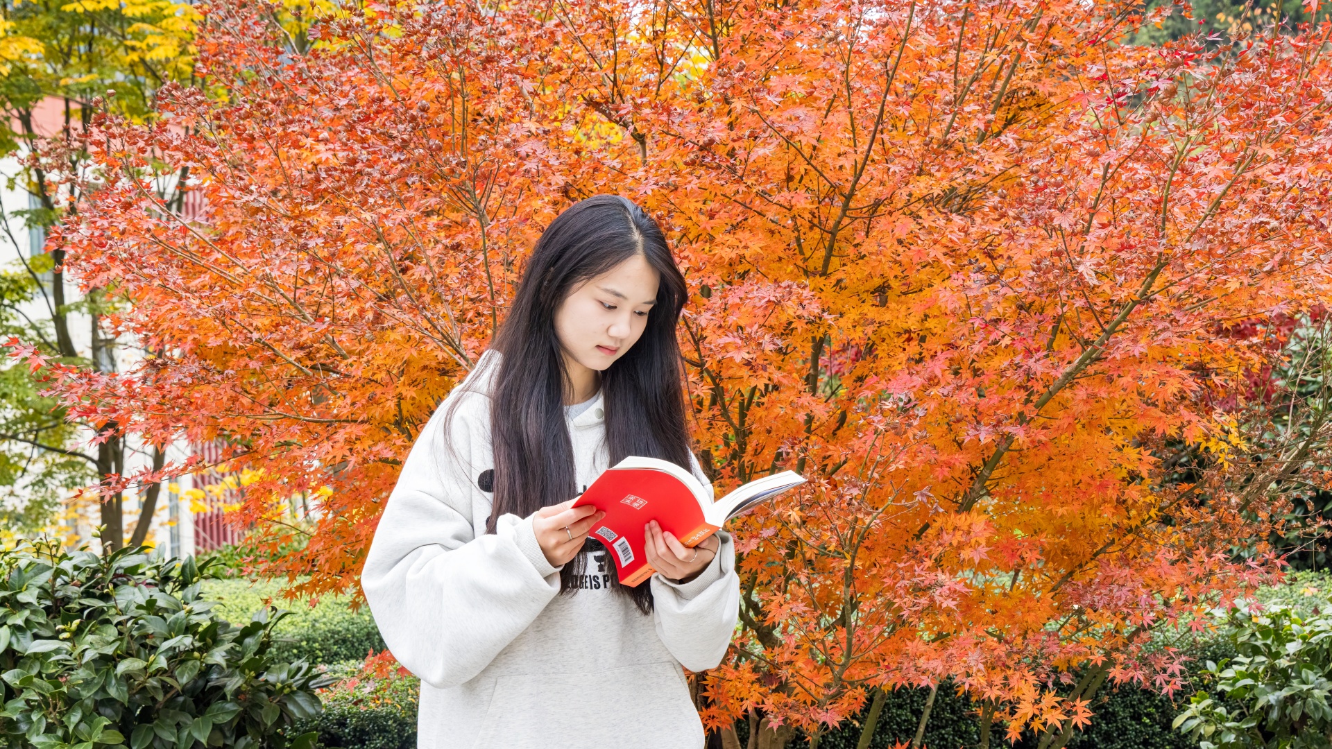 ����ˮ��ר��Ƭ--���� (9).jpg