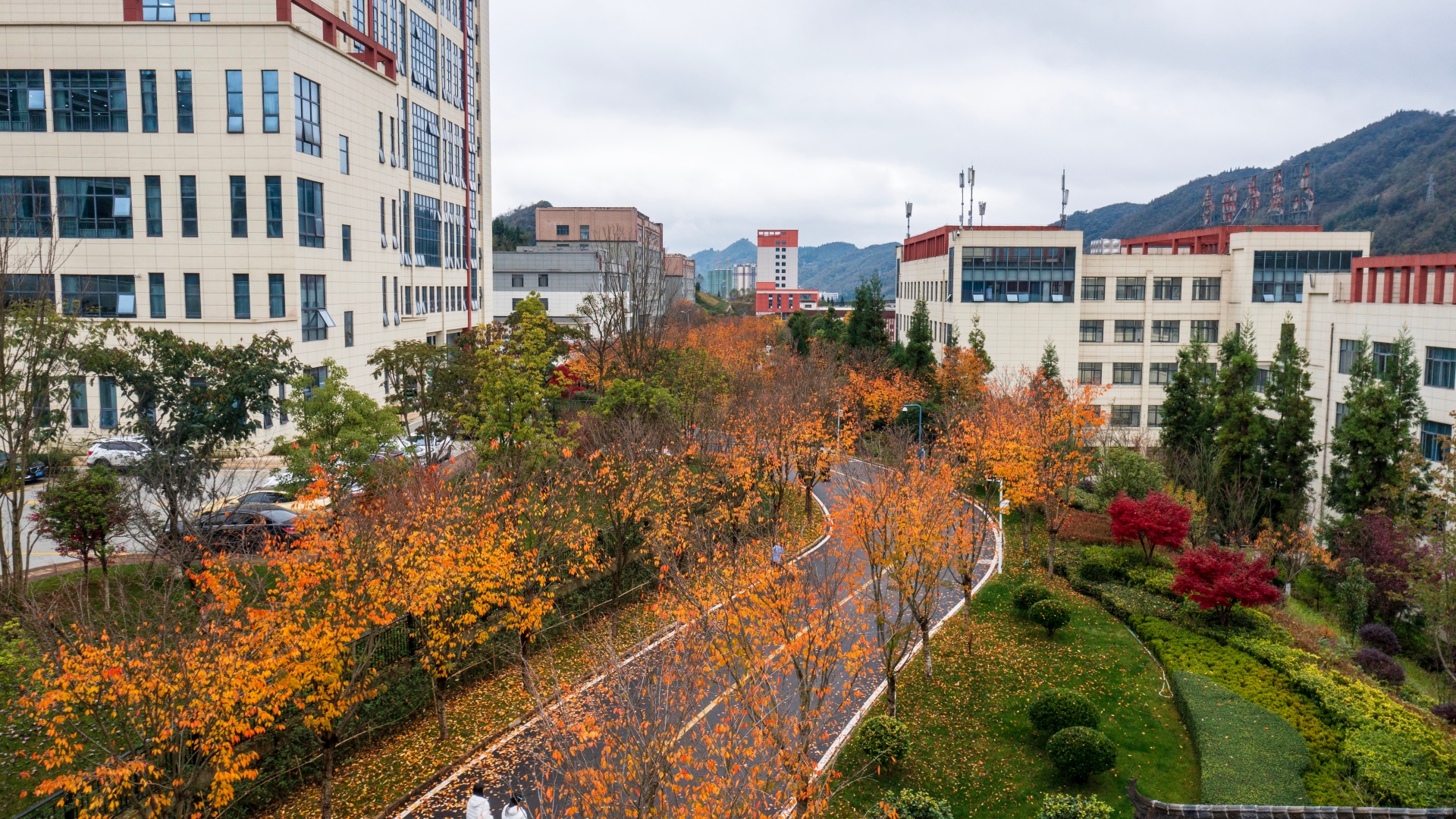 ����ˮ�׶�ʦ���ߵ�ר��ѧУ�ﾰ--����-���� (5).jpg