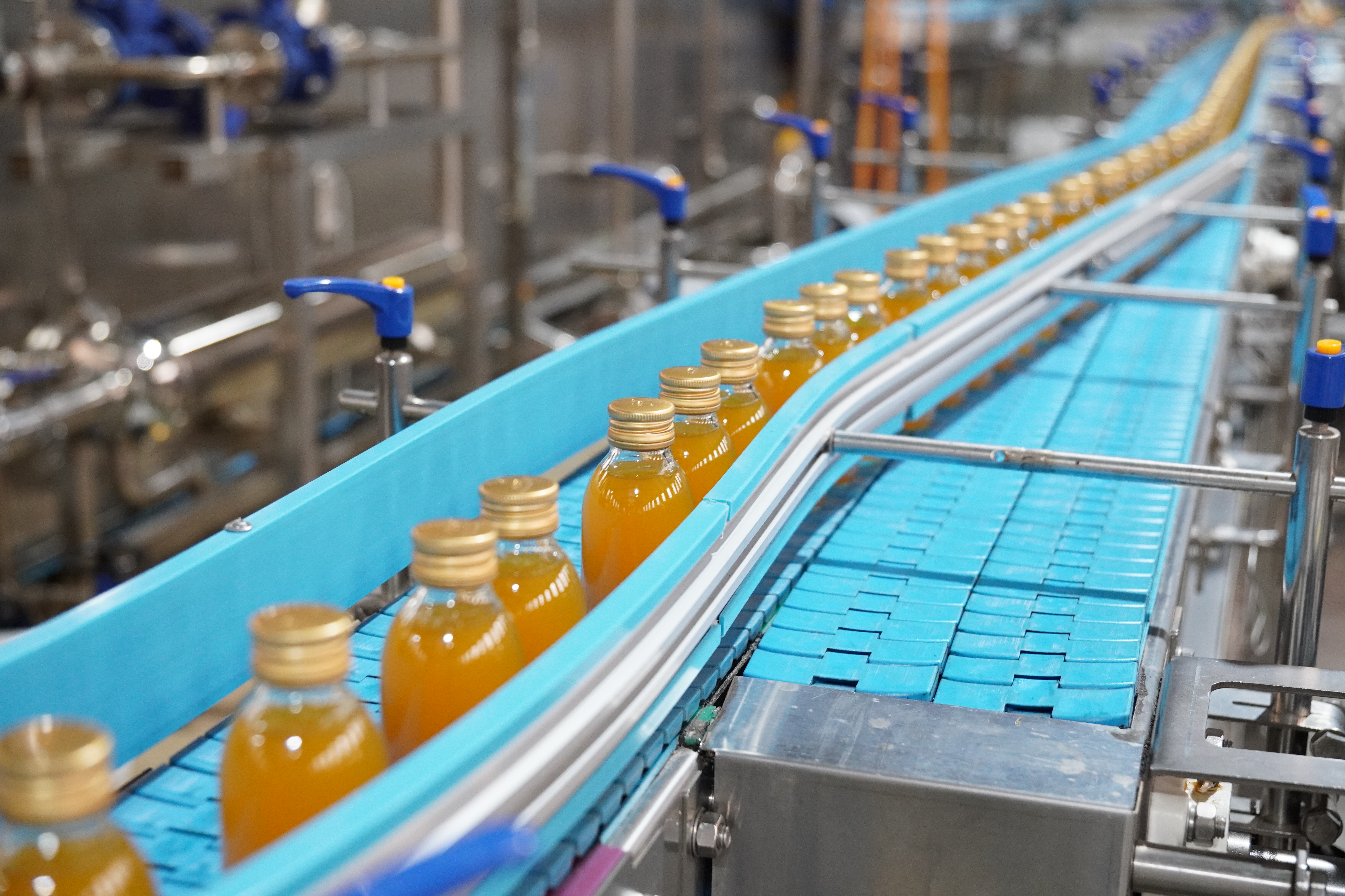 贵州得宝农业科技有限公司忙碌的生产线 杨曦 摄.JPG