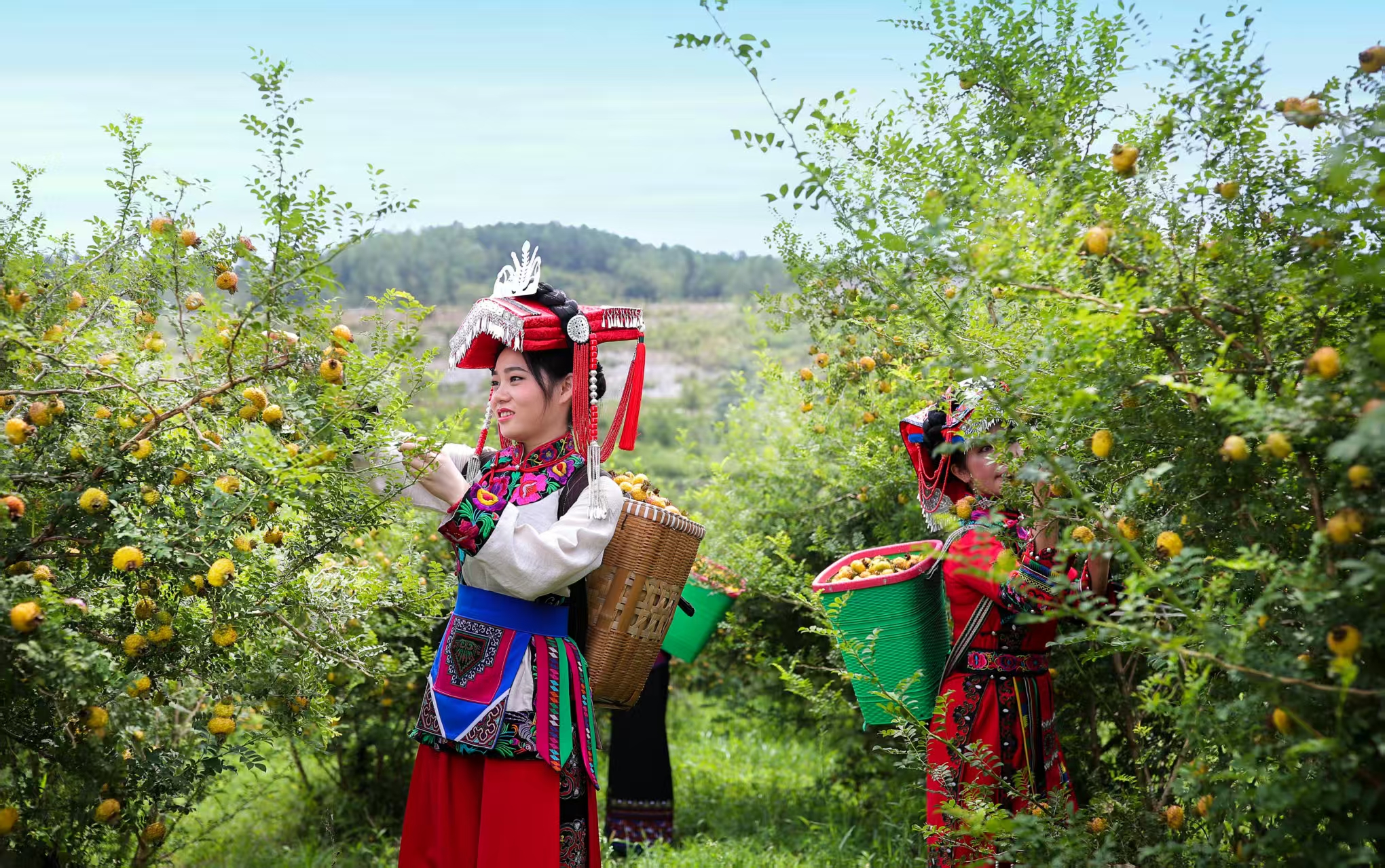 dD0xNzY2ODQ0OTU2X3I9MTMyOTQ3NjJfdz0xMDgwX3E9MTAwX2U9anBn.webp 微信图片_20251222060817.jpg