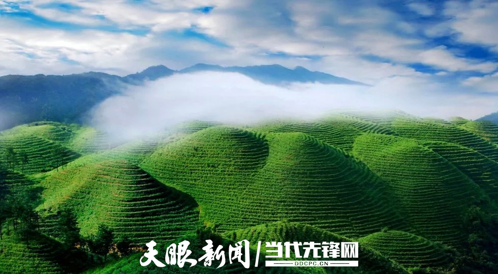 dD0xNzY2OTIyOTc0X3I9YWJhZTM1ZmJfdz05ODBfcT0xMDBfZT1qcGc=.webp 微信图片_20251228194742.jpg