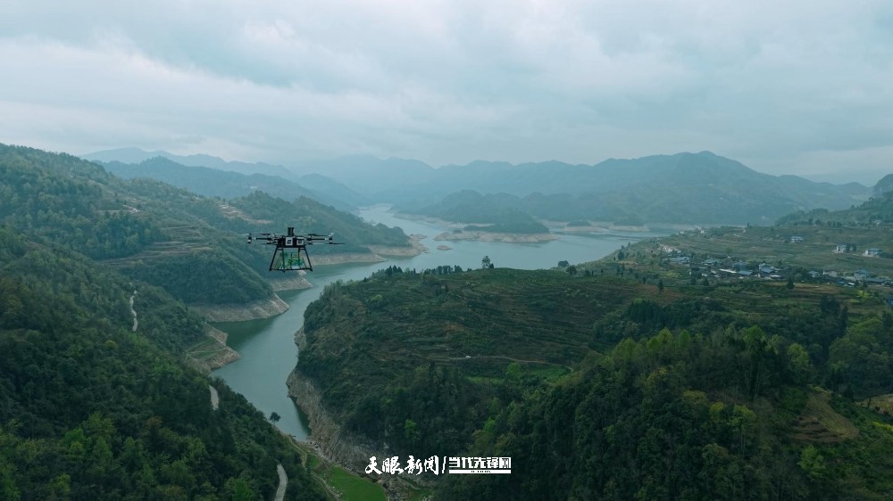 “低空 春茶”产业融合项目.jpg