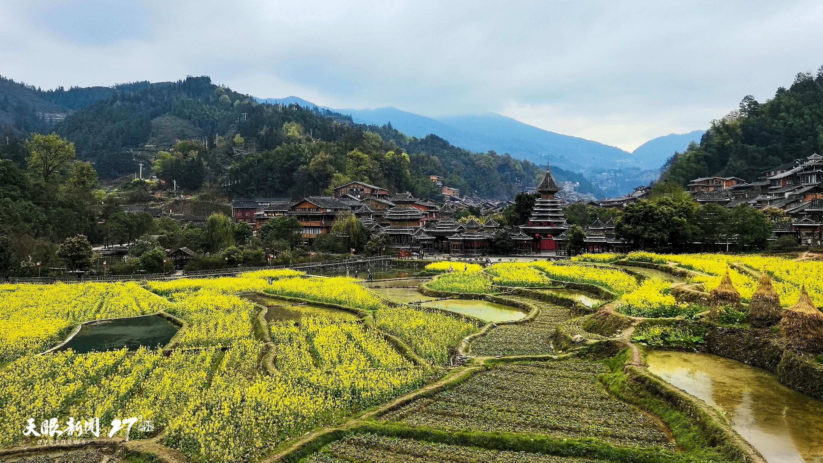 △春日的肇兴侗寨，油菜花竞相绽放。.jpg