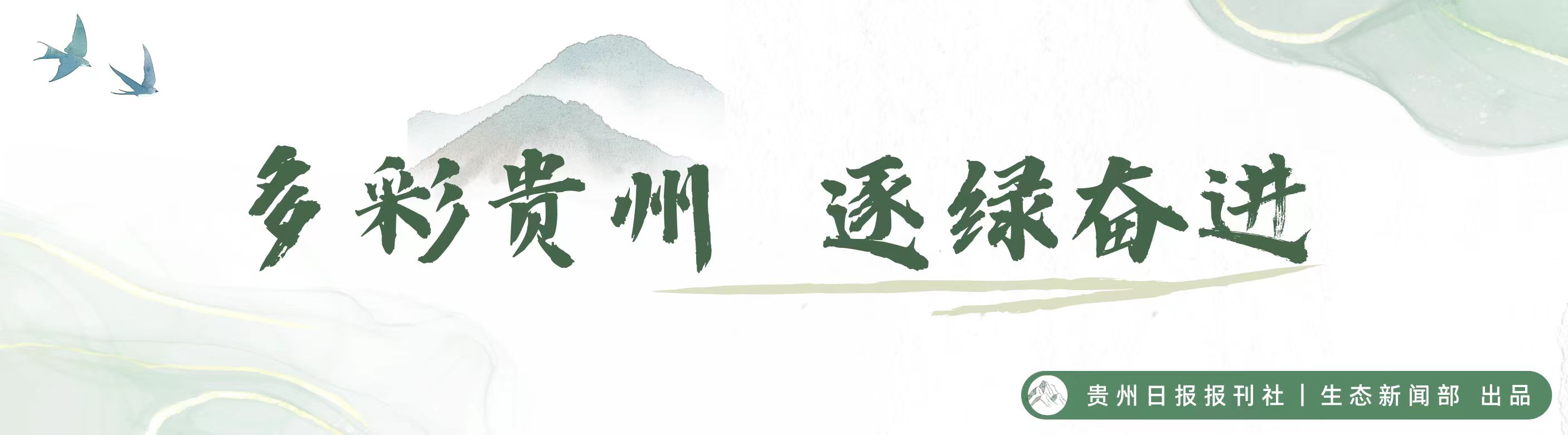 dD0xNzY3NDUzMDQyX3I9NDllNzUxYWZfdz0xMDgwX3E9MTAwX2U9anBn.webp 707b3f0917e5260b6a6893aa62205ee.jpg