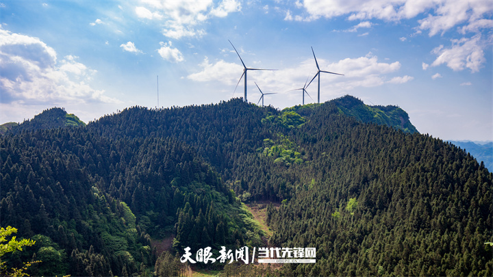 dD0xNzY3NDUzMjE5X3I9MGQzMzExMzFfdz03MjBfcT0xMDBfZT1qcGc=.webp 关岭永宁镇林场.jpg