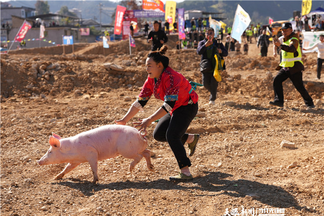 17676928772946.jpg DSC06231.jpg