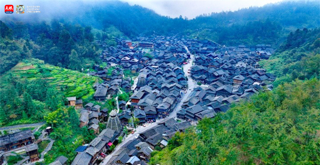 17682307288426.JPG IMG_8630.JPG