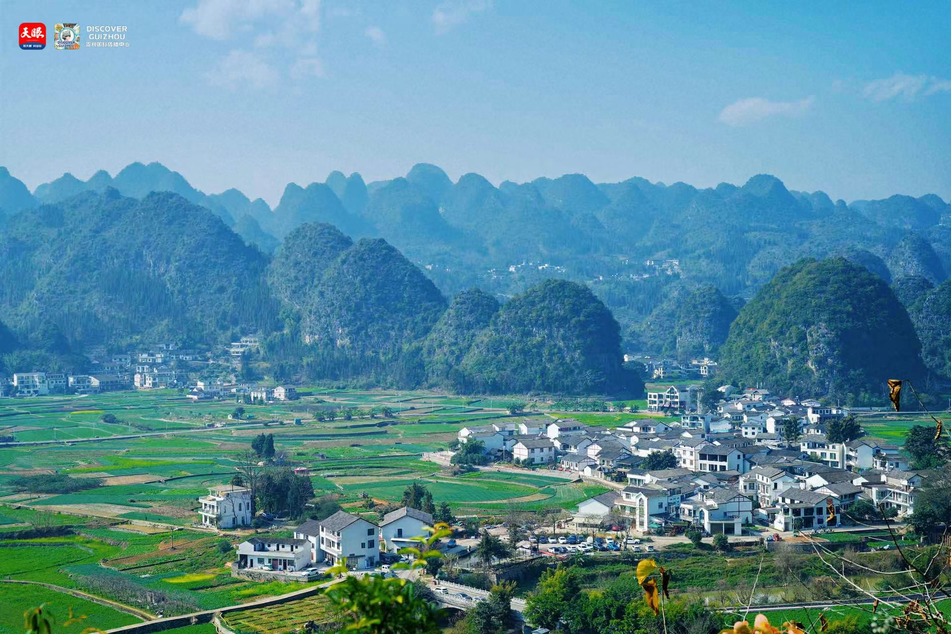 17688228504099.jpg WechatIMG775.jpg