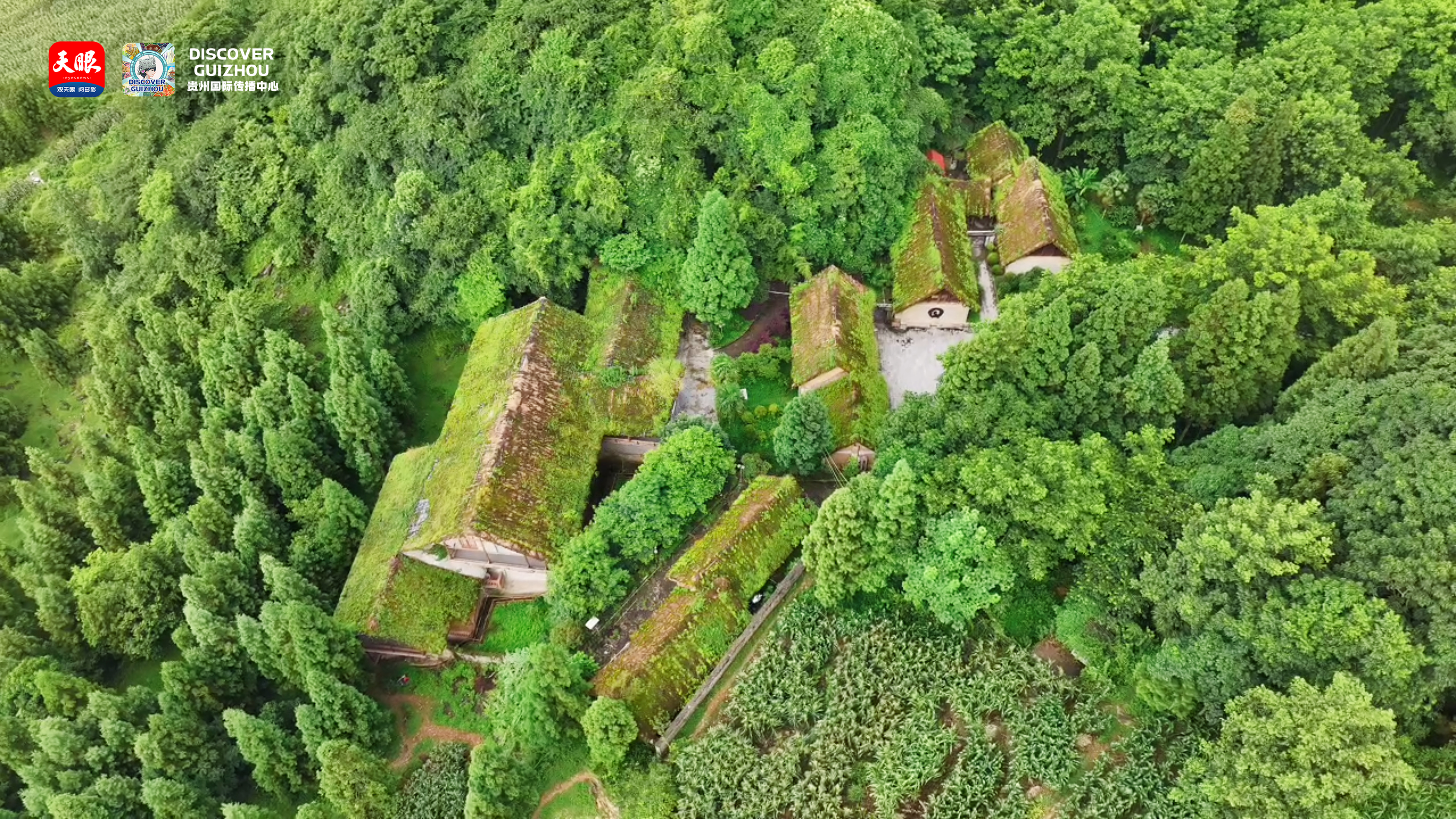 17689121989352.jpg WechatIMG4150.jpg