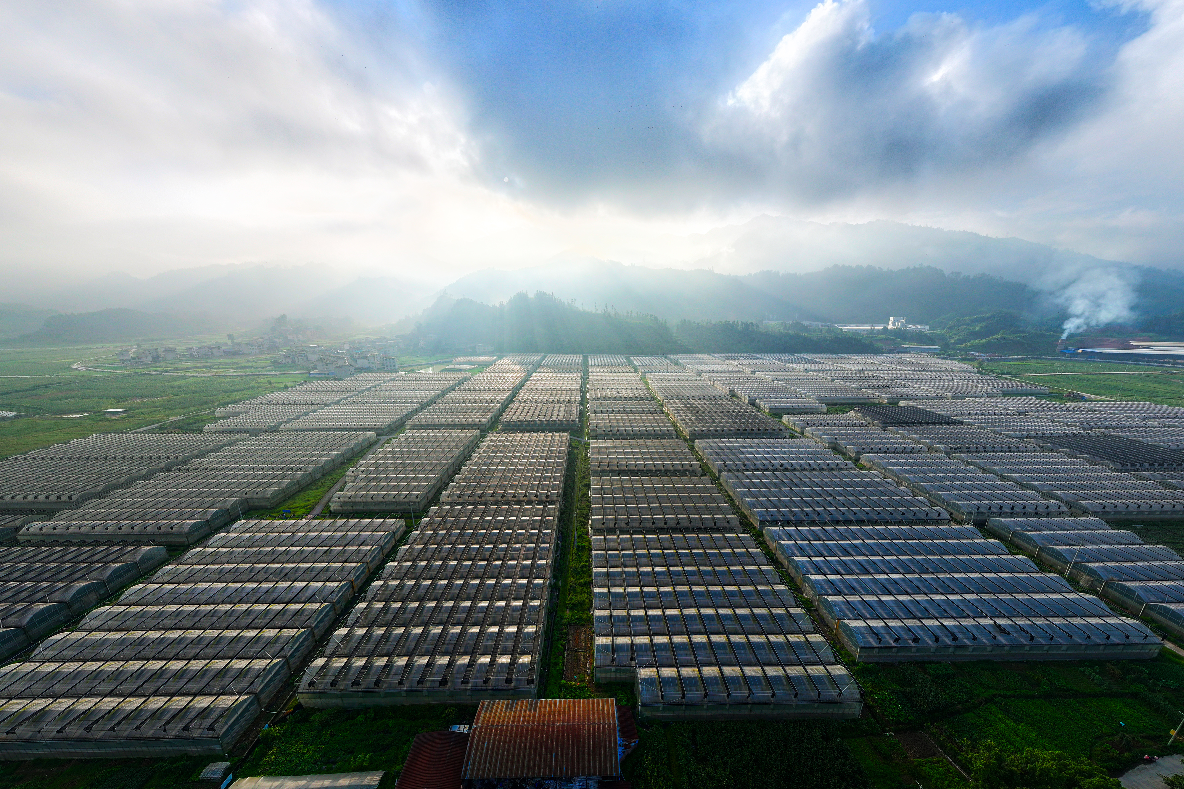 榕江县车江坝区蔬菜基地是粤港澳大湾区重要的“菜篮子”生产基地，长期向大湾区批发市场和生鲜超市供应新鲜蔬菜。贵州日报天眼新闻记者 杨晓波 摄.jpg