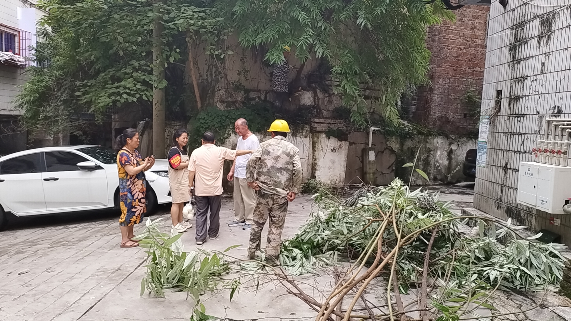 甲秀樓社區(qū)聯(lián)動(dòng)轄區(qū)院落居民共同修剪樹(shù)枝.jpg