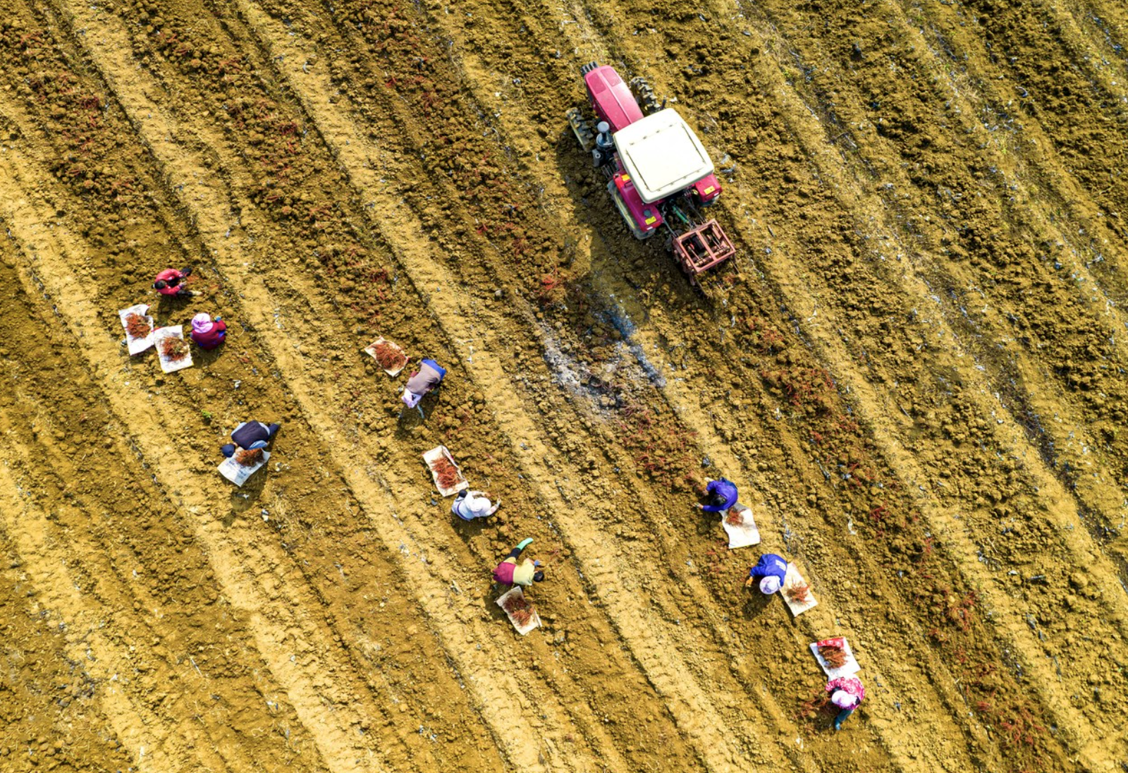 截屏2026-01-29 11.52.32.png