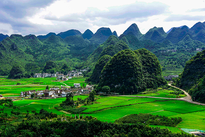 万峰林夏日景色 刘朝富 摄.jpg