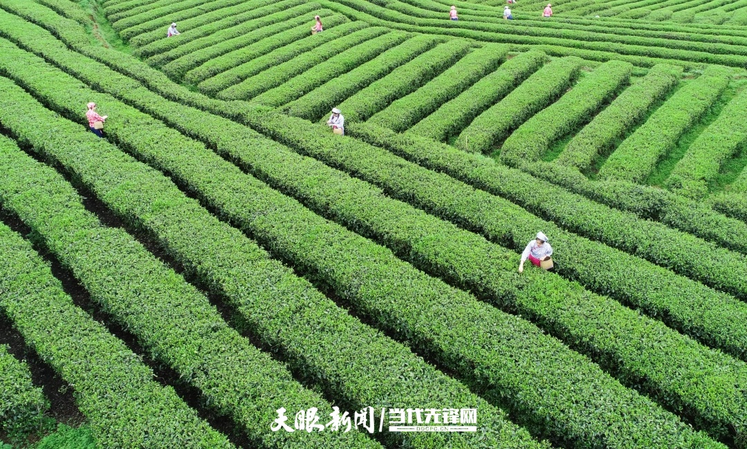 dD0xNzcyODg3NTMzX3I9NGM0YzI1ZjNfdz0xMDgwX3E9MTAwX2U9anBn.webp 384c8d3b80595b0c42df3a185513d6f6.jpg