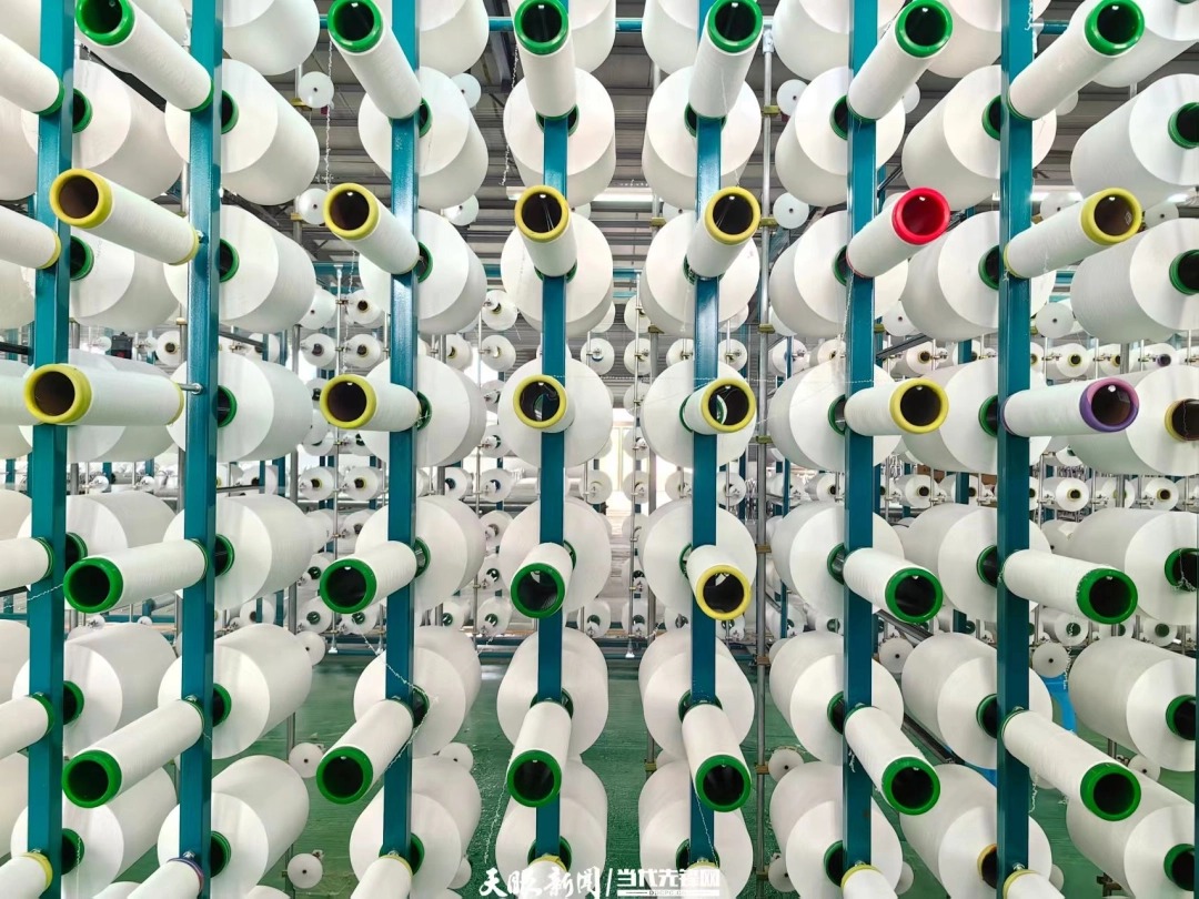 17729042546008.jpg 微信圖片_2026-03-08_012342_508.jpg