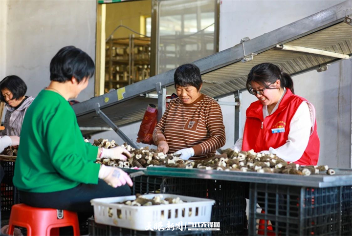 dD0xNzcyOTczMzExX3I9ZWE2NjllMmJfdz03MjBfcT0xMDBfZT1wbmc=.webp 三都水族自治县周覃镇新园村就业群众分拣羊肚菌.png