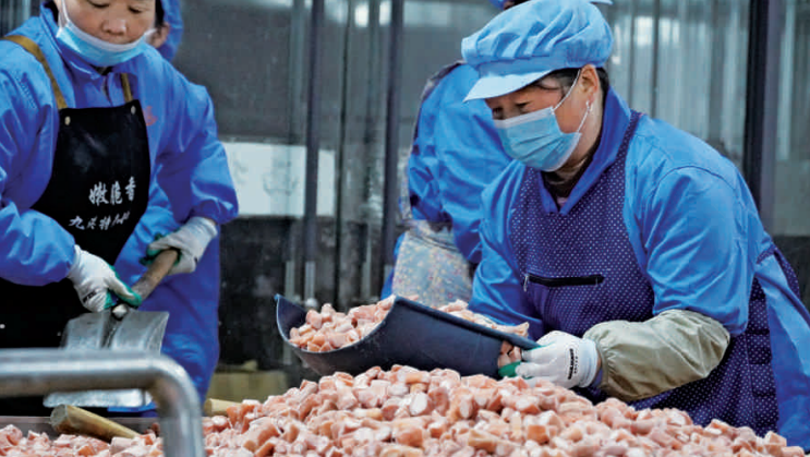 dD0xNzczMDI2ODU4X3I9Yzc0NGM0NmVfdz03NDNfcT0xMDBfZT1wbmc=.webp 29f5f0d2-8663-4b12-b150-716904998d40.png