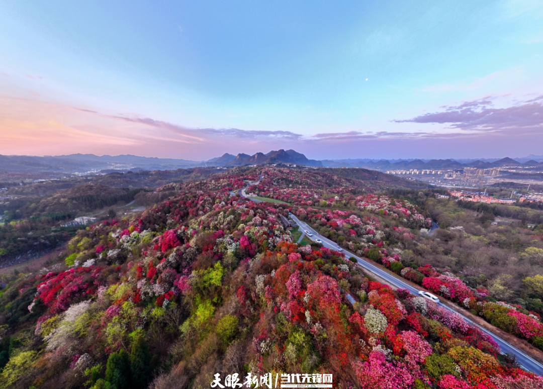 dD0xNzczNTM2OTQyX3I9ZGFmNjM5M2Nfdz0xMDgwX3E9MTAwX2U9cG5n.webp 17735042111876.png