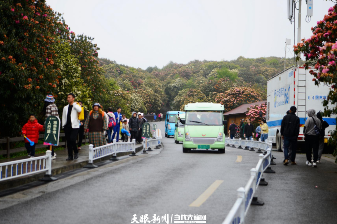 dD0xNzczNTM3MTE3X3I9ZGVkOWVhYzFfdz0xMDgwX3E9MTAwX2U9cG5n.webp 17735042158005.png