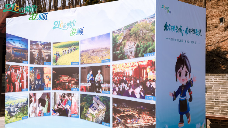 17736729807238.jpg 10163630.jpg