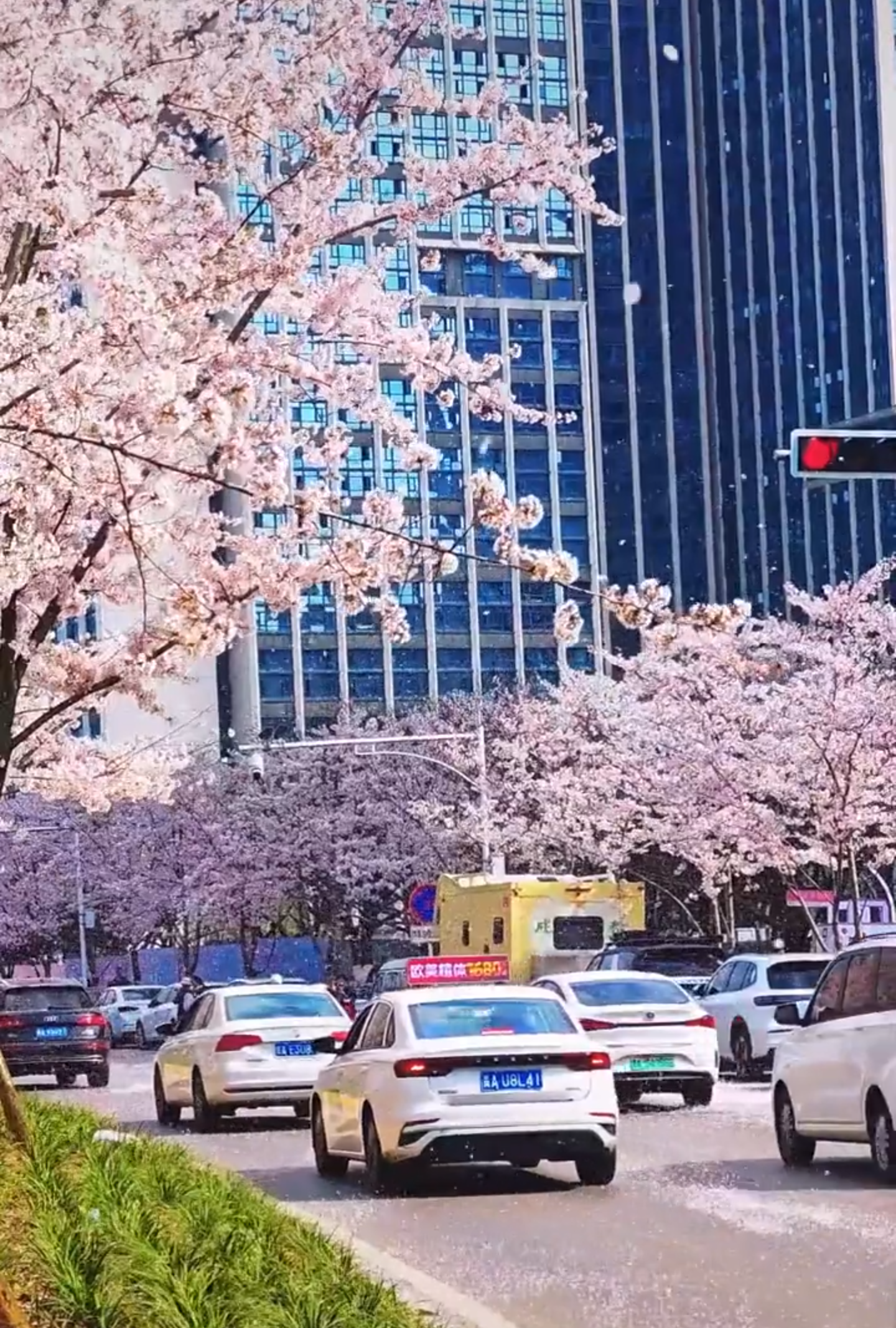 dD0xNzczNjU1ODA0X3I9OThkNTBjNDFfdz0xMDgwX3E9MTAwX2U9cG5n.webp