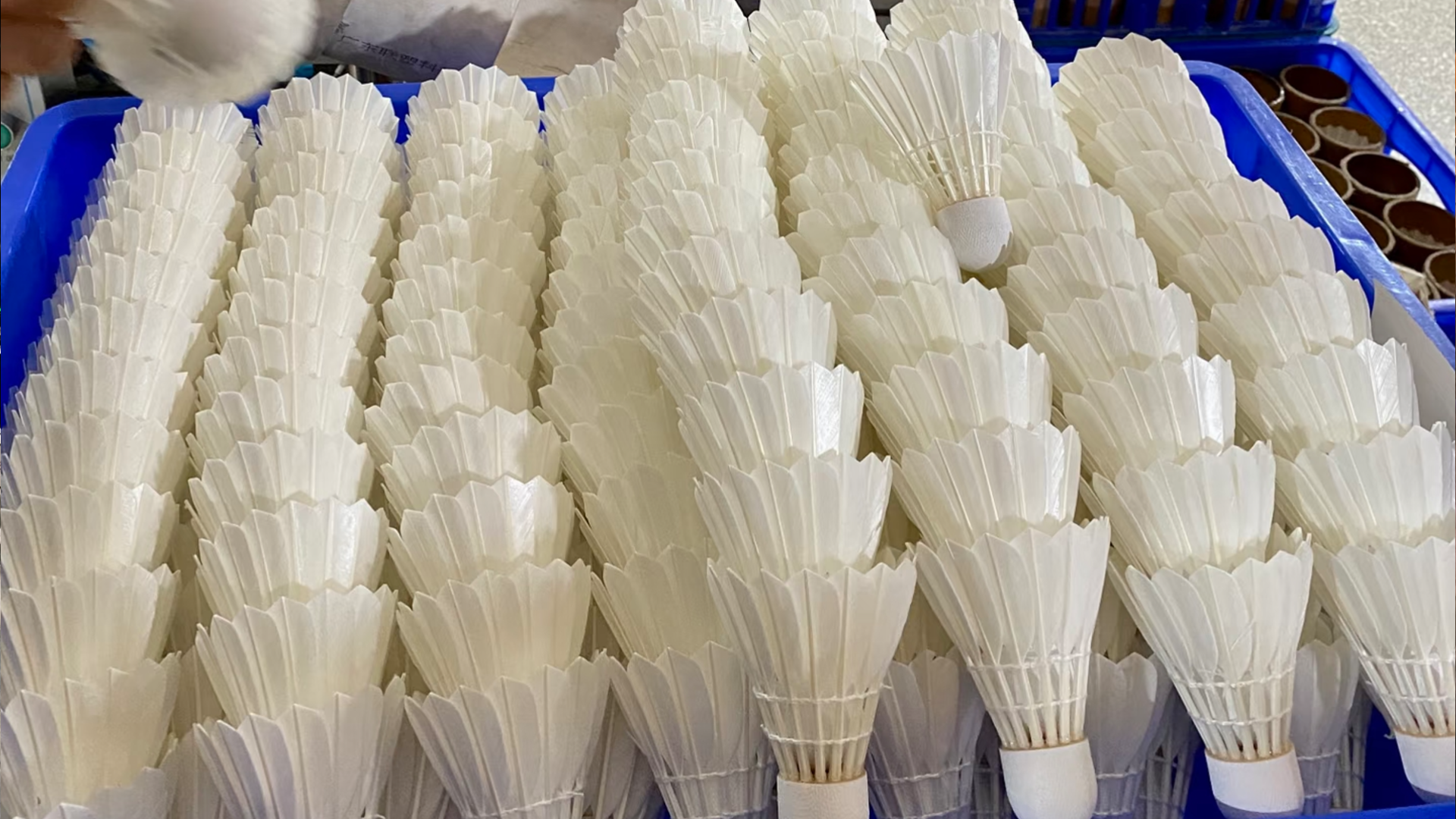 17737354994537.png 3月17日(1).png