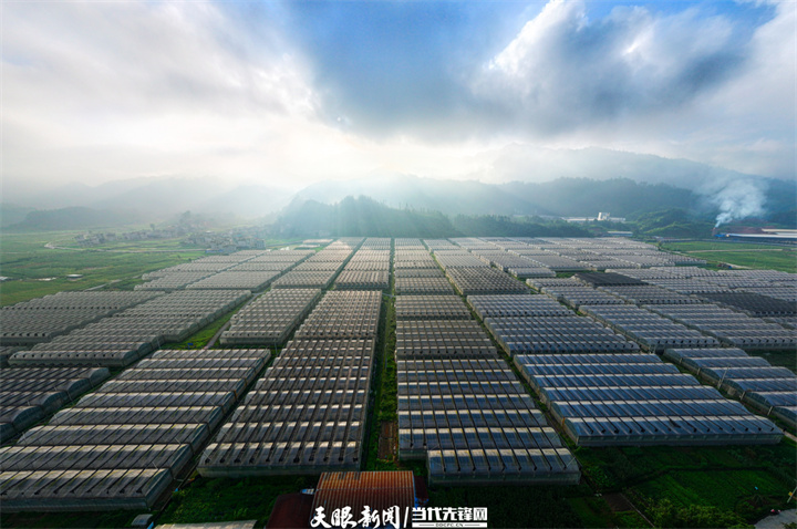 dD0xNzczODgwODAyX3I9N2ZlZjc2MzFfdz03MjBfcT0xMDBfZT1qcGc=.webp 24.jpg