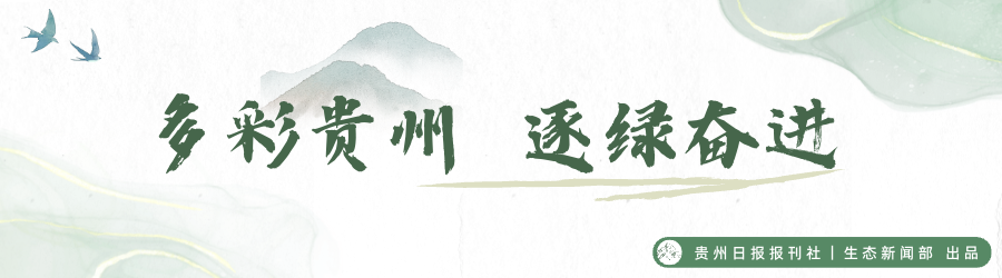 biao.png