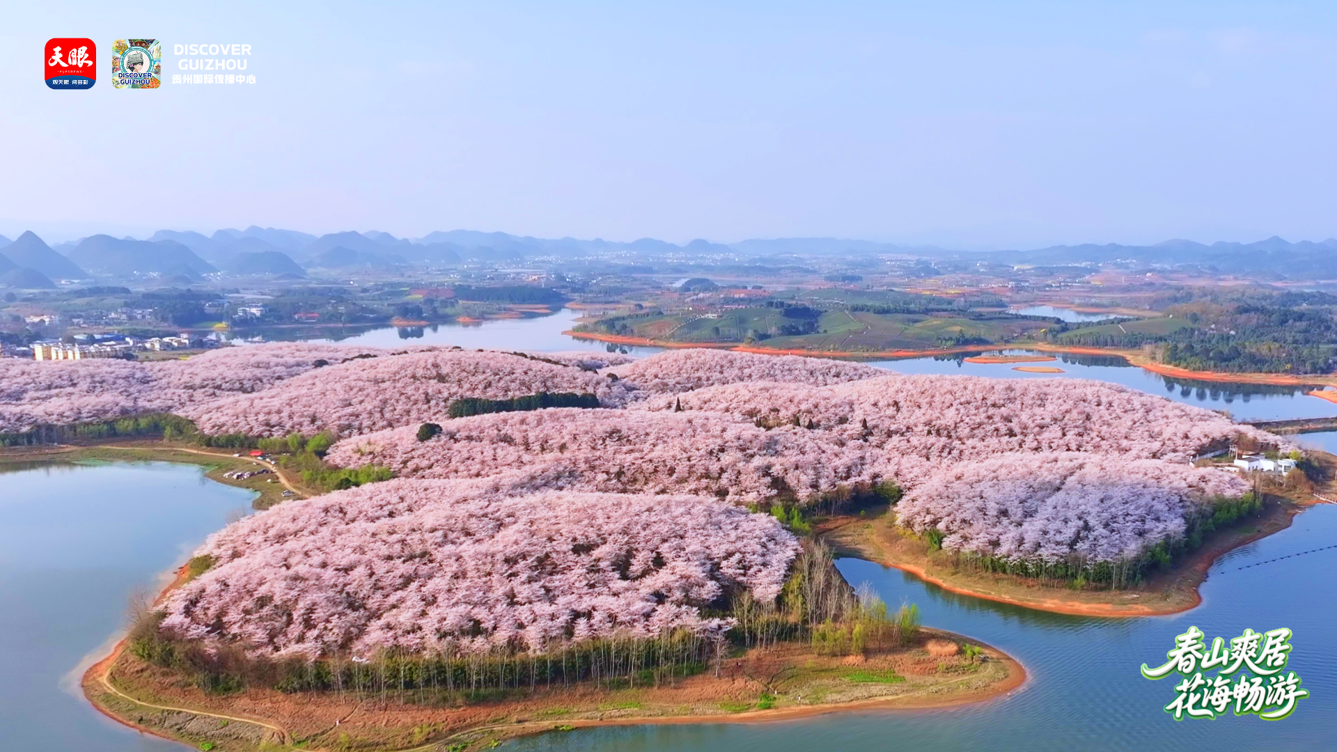 17740249051829.jpg 2.jpg