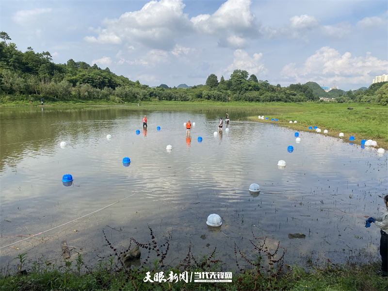 dD0xNzc0NDMxOTMxX3I9YTMwOGUzZTBfdz04MDBfcT0xMDBfZT1qcGc=.webp 微信图片_20260325151707_270_10.jpg