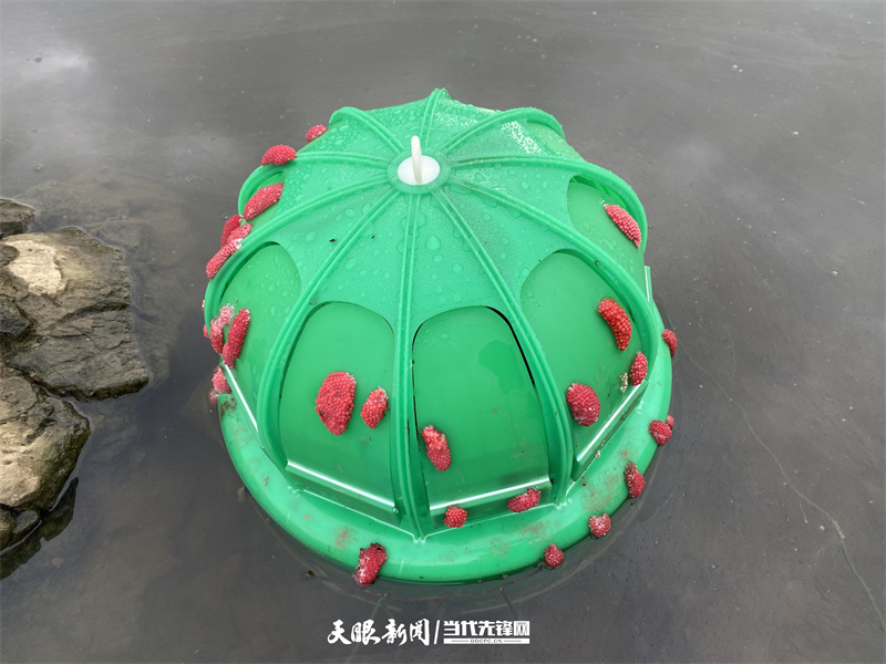 dD0xNzc0NDMxOTg1X3I9MDM1ZThlNmFfdz04MDBfcT0xMDBfZT1qcGc=.webp 微信图片_20260325151704_268_10.jpg