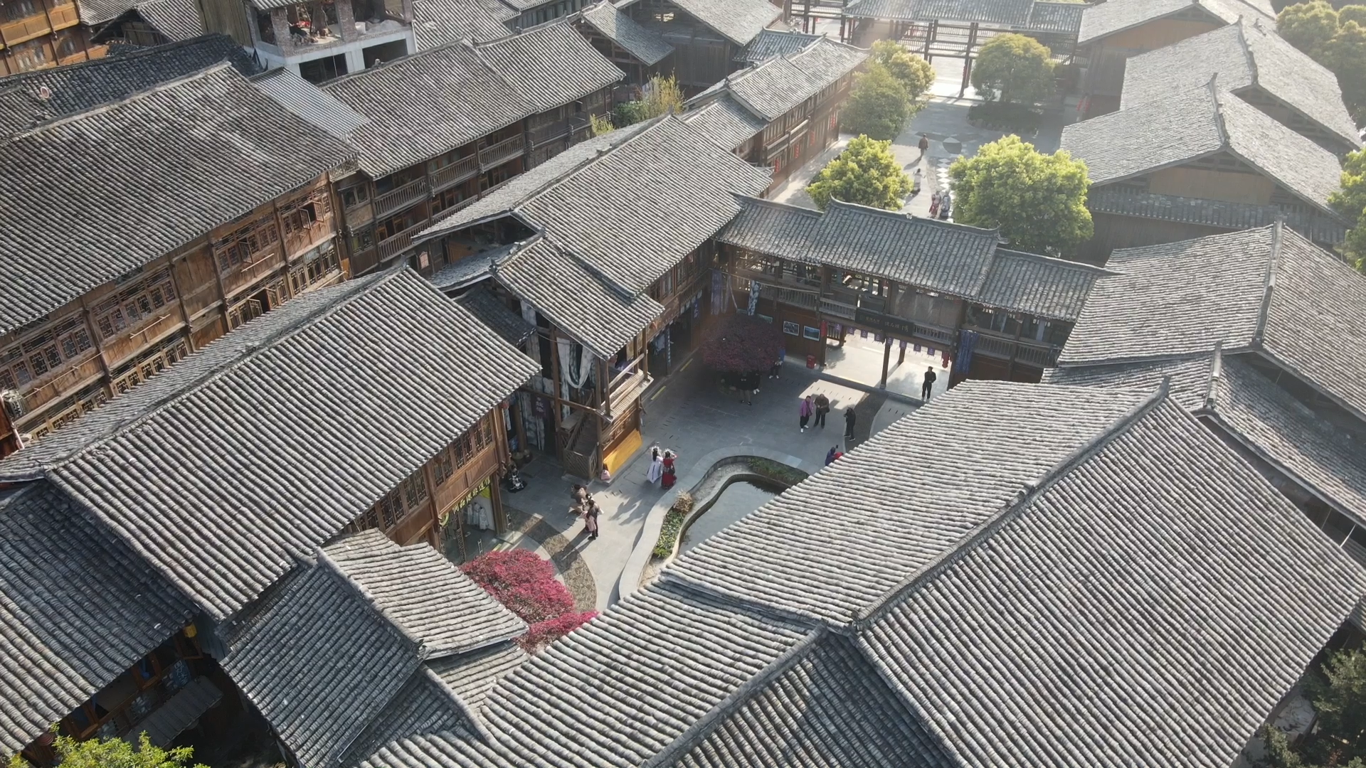 序列 01.00_00_48_12.Still003.png