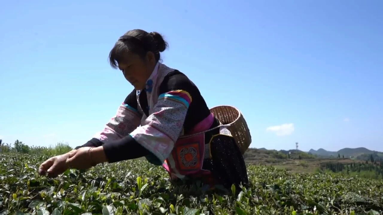 17747101683140.jpg 微信图片_2026-03-20_094230_723.jpg