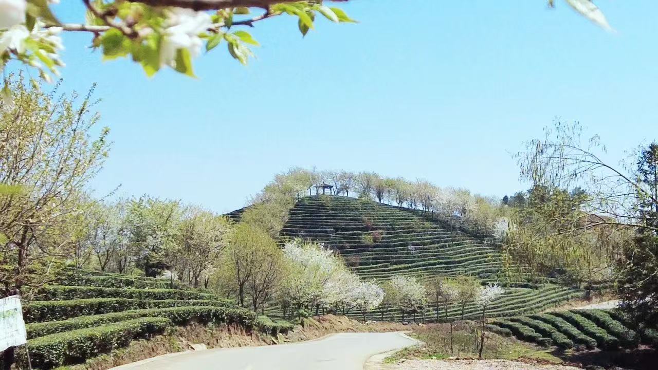 17747105509333.jpg ba85c59758d54e7e0aad5fae7dc96b01.jpg