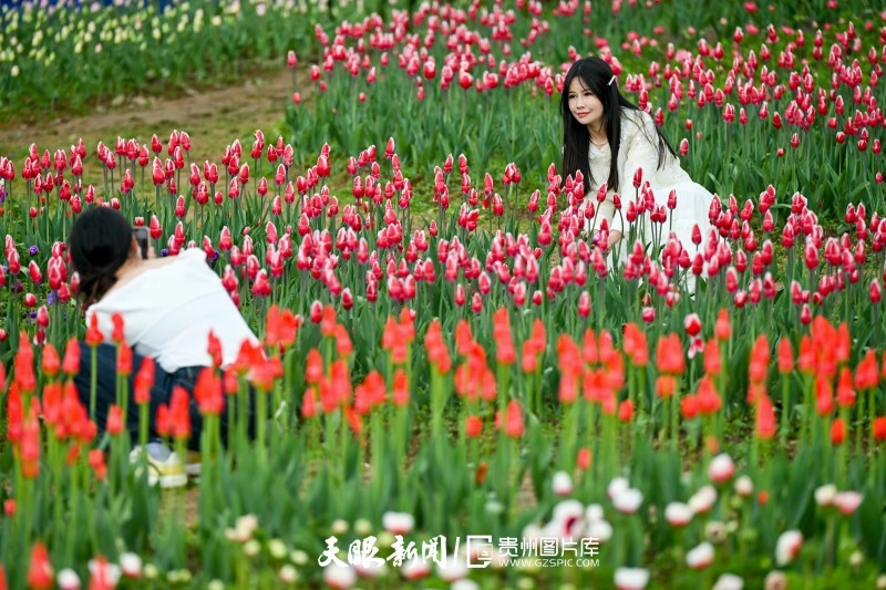 dD0xNzc0ODMyMDY2X3I9NmE2OTQxYTNfdz04MDBfcT0xMDBfZT1qcGc=.webp dD0xNzczOTk2MTMyX3I9ZTEzMWUwYjJfdz04MDBfcT0xMDBfZT1qcGc=.jpg