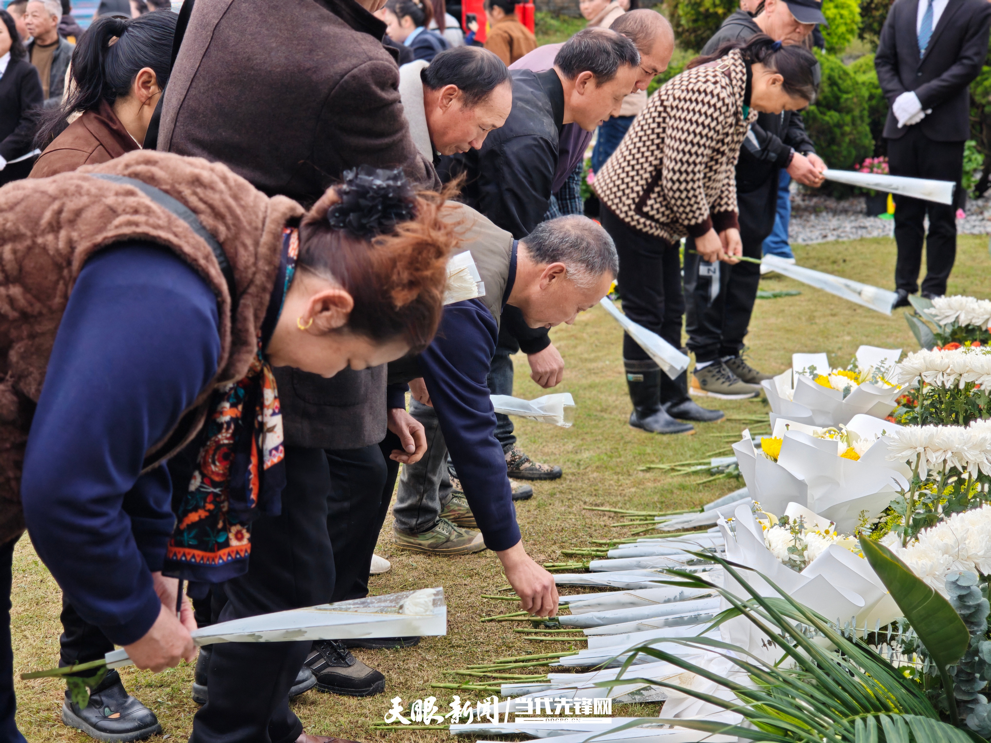 微信图片_20260331192648_1068_98 (1).jpg