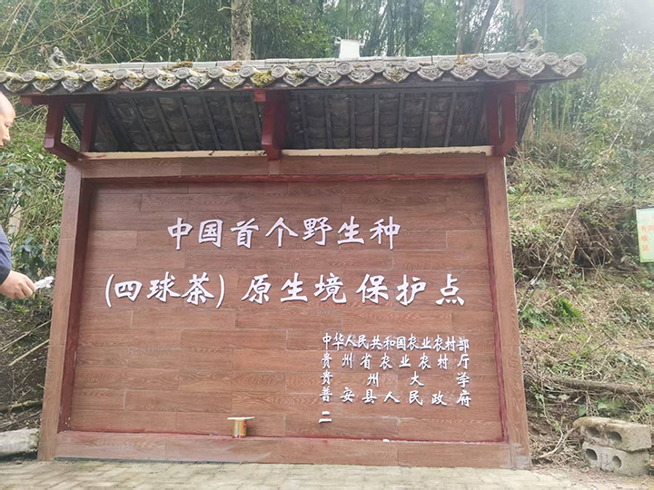 原境保護點  普安縣委宣傳部供圖.jpg