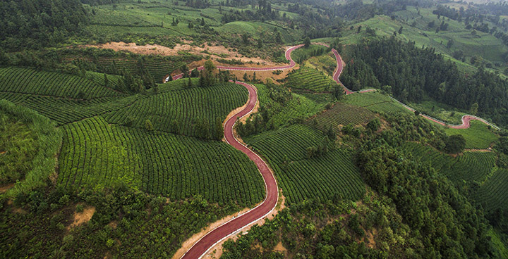 國際山地自行車賽道1.jpg