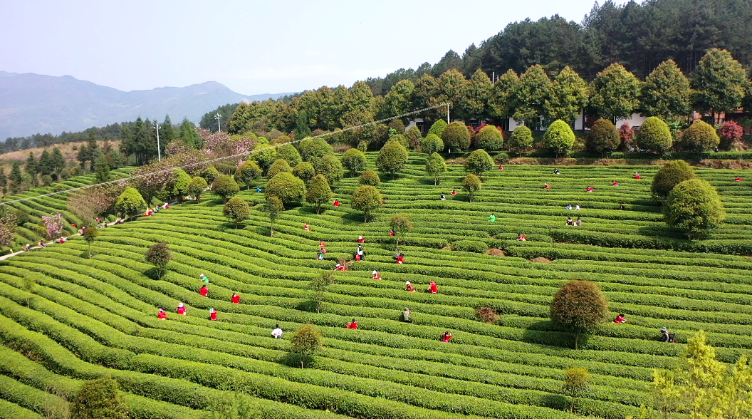 微信圖片_2026-04-14_134713_091.png