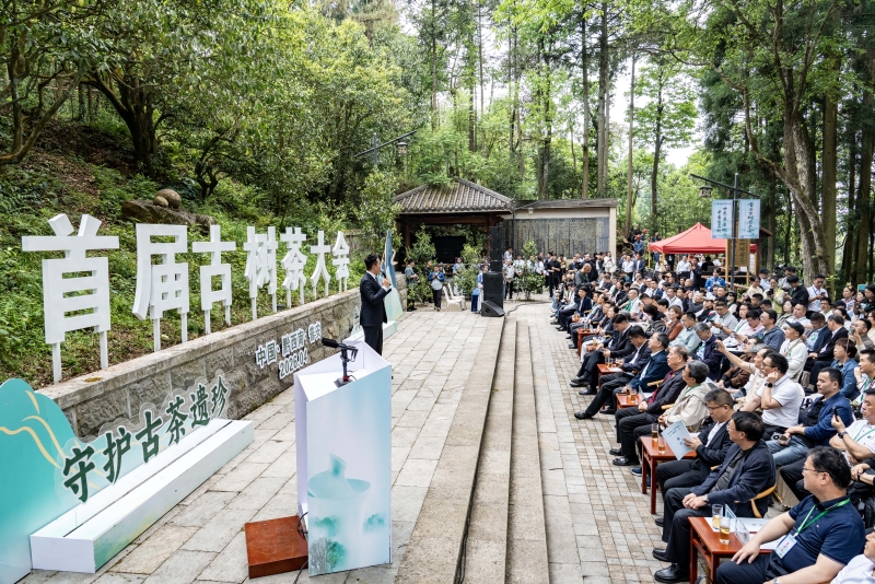 大會現(xiàn)場_副本.jpg