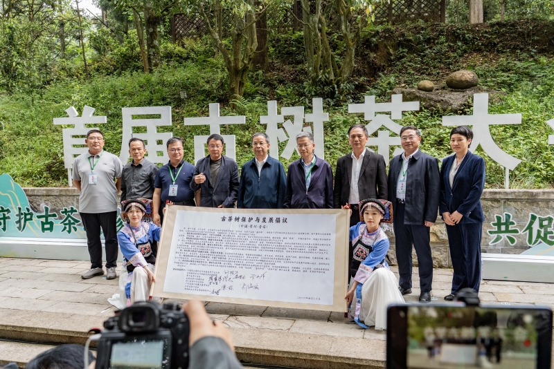 聯(lián)合發(fā)起的《古茶樹保護(hù)與發(fā)展倡議》_副本.jpg