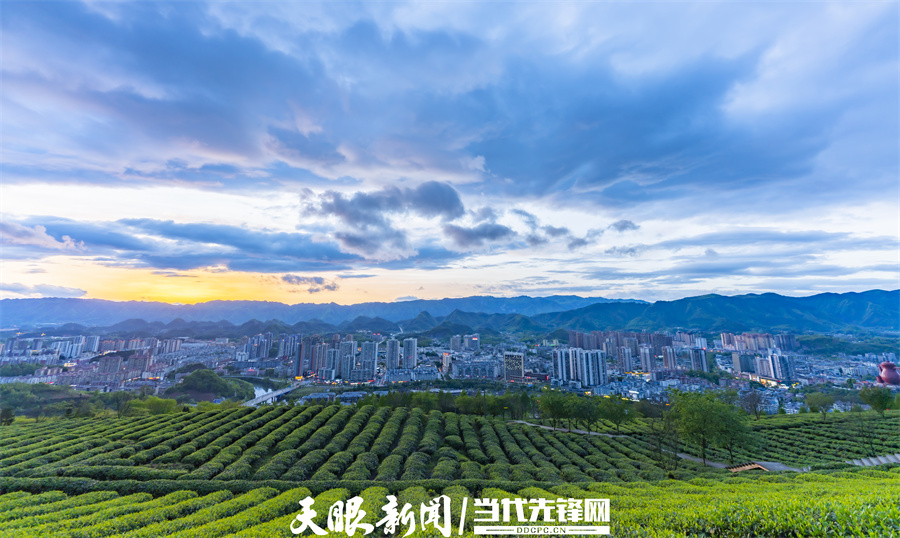 在湄潭，茶產(chǎn)業(yè)讓城鄉(xiāng)界限日漸模糊。湄潭縣融媒體中心 供圖.jpg