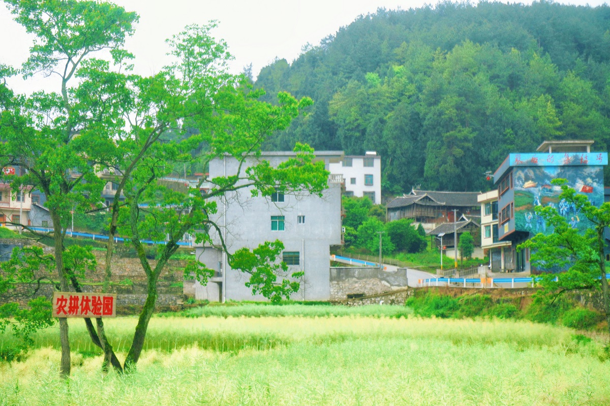 微信图片_2026-05-02_151919_853.jpg