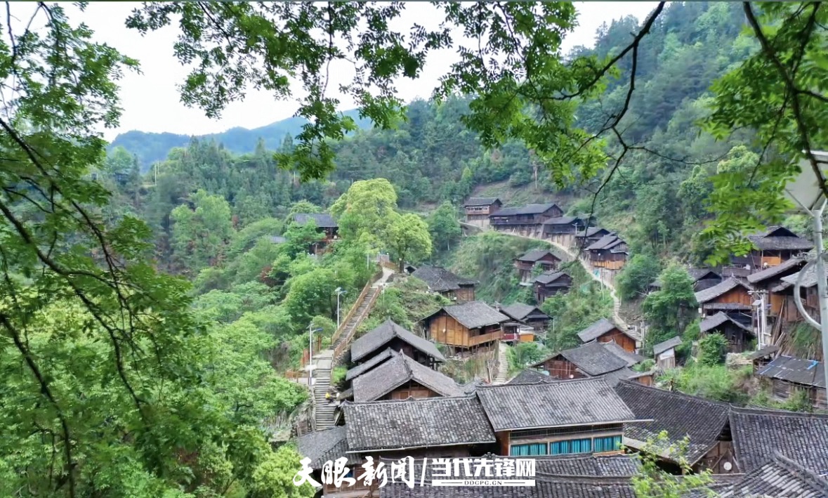 17775299841858.jpg 微信图片_20260430135246_2520_89.jpg