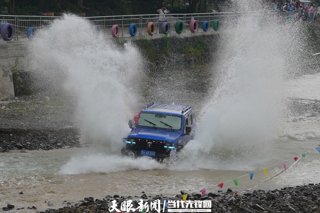 DSC00802.jpg