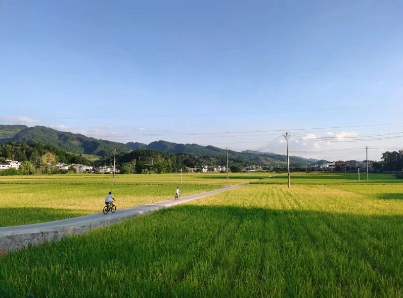 微信圖片_2026-05-17_181248_289.jpg